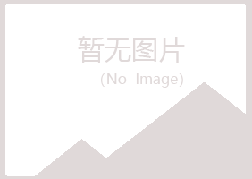 伊春紫山能源有限公司